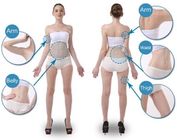Vela Shape Cellulite Removal Machine 700 -2500nm 40KG Body Contour Skin Tightening