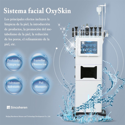 De vrouwen Gezichts maken 6 in 1 Hydrodermabrasion-Machine het 10,4 Duimscherm Sincoheren schoon
